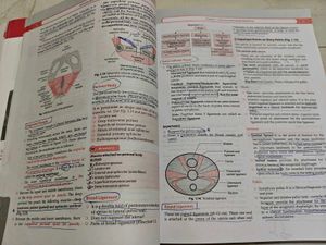 Gynecology Self Assessment &amp; Review