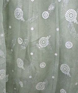 Designer Lehenga Choli Set
