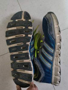 Adidas Climacool Running Shoes