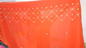 Orange Saree with Floral Embroidery