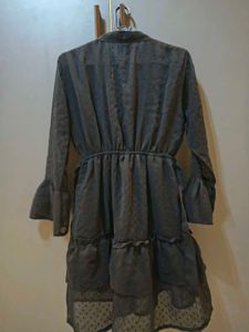 Chic Sheer Ruffle Dress