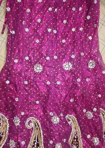 Elegant Lehenga Choli