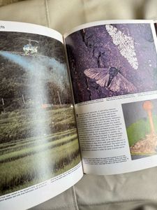 Insects - Children's Treasury of Knowledge