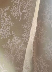 New Curtains
