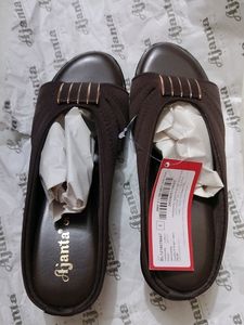 Brown Ajanta Slides