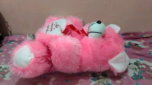 Pink Teddy Bear - "For Someone Special"