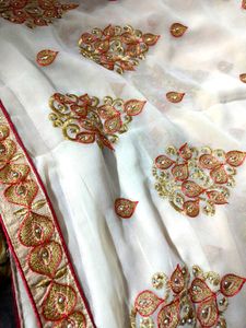 Beautiful Chiffon 2 Shade Saree
