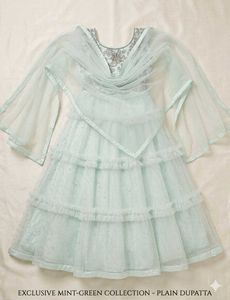 Stunning Mint Green Zardozi Gown with Dupatta