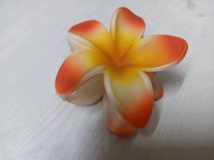 New Flower Hair Clips