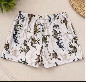 Fun Dinosaur Print Boxer Shorts