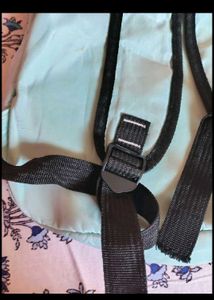 beautiful bagpack