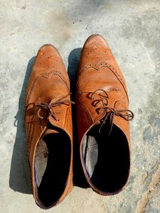 Ted baker's Men's Brown Leather Brogues