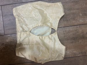 Combo Of 2New Unused Gold Blouses With Cups