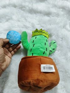 Imported Cactus🌵 Softtoy plushies