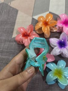 Pinterest Hair Clips Set Of 7