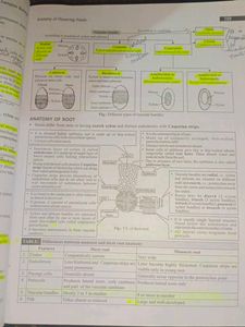 NEET Champion Class 11 &amp; 12 Biology