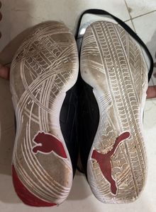 Puma Black &amp; Red Sports Shoes Ferrari