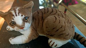 Cat Doll For Sale
