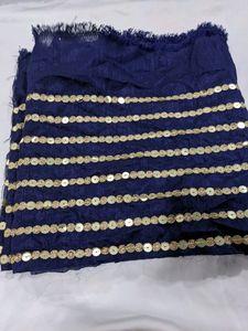 SEQUIN AND ZARI BORDER LACE