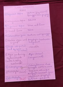 Handwritten Notes Neet Ug