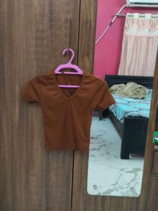 Brown V-Neck T-Shirt crop top
