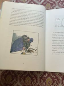 Roald Dahl The Twits Book