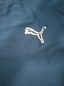 Puma Mercedes Petronas T-Shirt