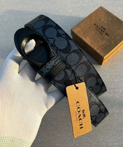 Coach Signature Belt