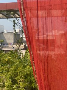 Vibrant Red Dupatta