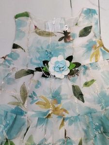 Floral Print Baby Dress