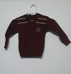 Kids Maroon Sweater, Size 24