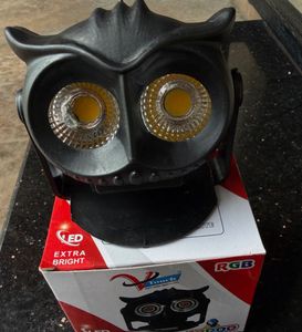 Cute Owl Warm White Led Light