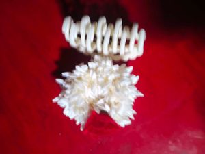 Elegant Hair Clip with Flower Accent