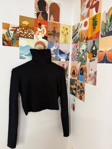 Black Cropped Turtleneck Top