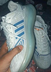 Adidas Inspired Radium Running Shoes