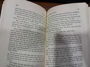 The Secret Garden By Frances Hodgson Burnett