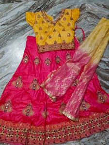 Pink Embellished Lehenga Skirt ✨