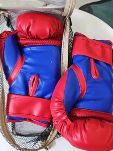 USI Universal Boxing Gloves