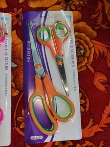 2 pcs Big And Small Stainless Steel Scissors