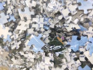 Unopened Puzzle Pieces