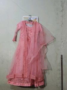 Elegant Pink Embellished Gown