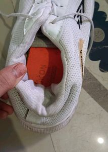 Off White Shoe
