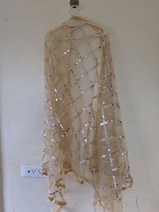 Sparkling Sequin Embellished Dupatta