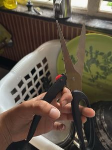 Fish Cutting Scissors ✂️