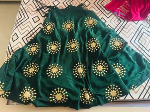 Elegant Green Embroidered Lehenga