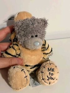 Teddy Bear in Tiger Costume