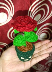 Crochet Smiley Rose Pot
