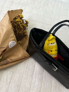 black classy bag