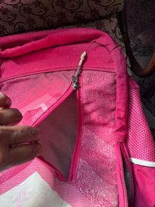 Skybags Pink Backpack