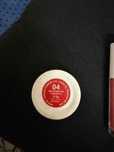 Insight Blusher &amp; Zudio Lip Balm